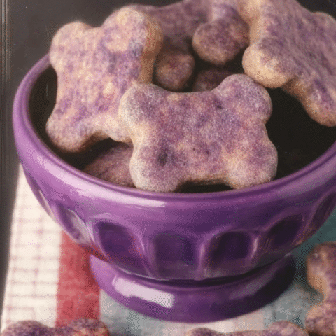 Fun & Healthy Veggie Pops Your Dog Will Love