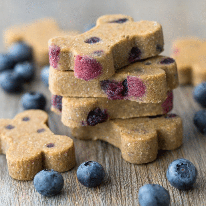 Blueberry And Apple Pup Snacks