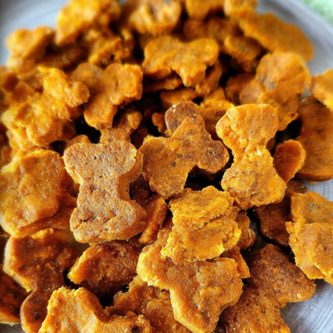 Soft Pumpkin Training Treats for Dogs