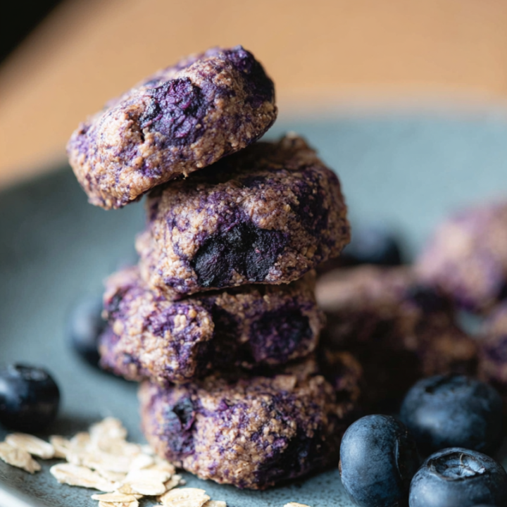 Healthy Blueberry & Oat Soft Chews for Senior Dogs